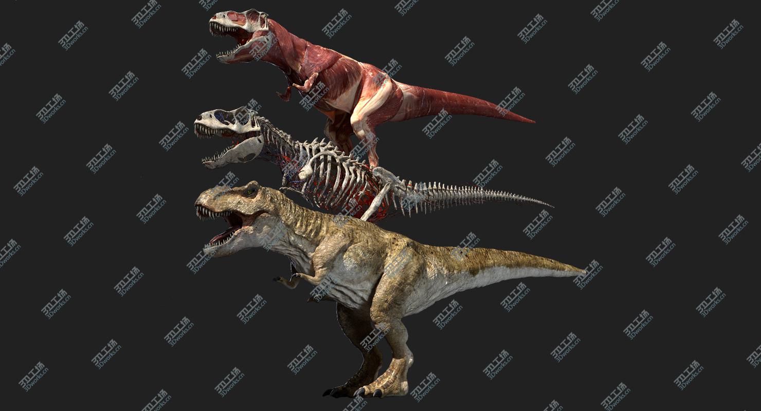 images/goods_img/202104092/T Rex Anatomy 3D 3D model/2.jpg